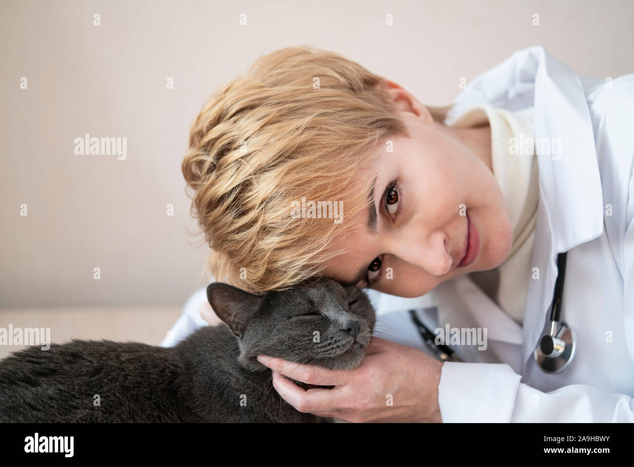 Femme de l'amour et des soins vétérinaires montrent vers animaux domestiques, chat patient Banque D'Images