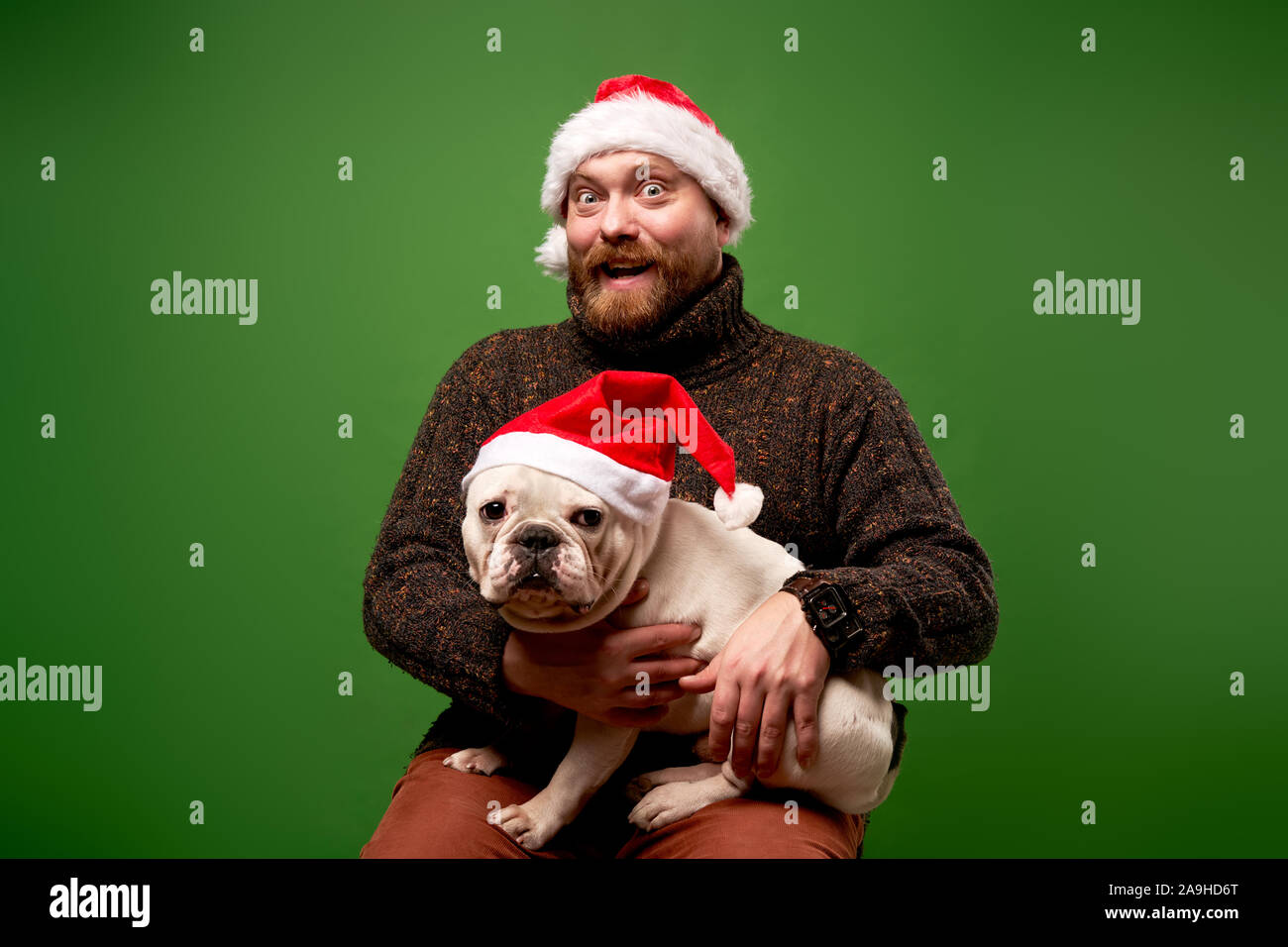 Homme et chien dans santa caps sur fond vert en studio vide Banque D'Images