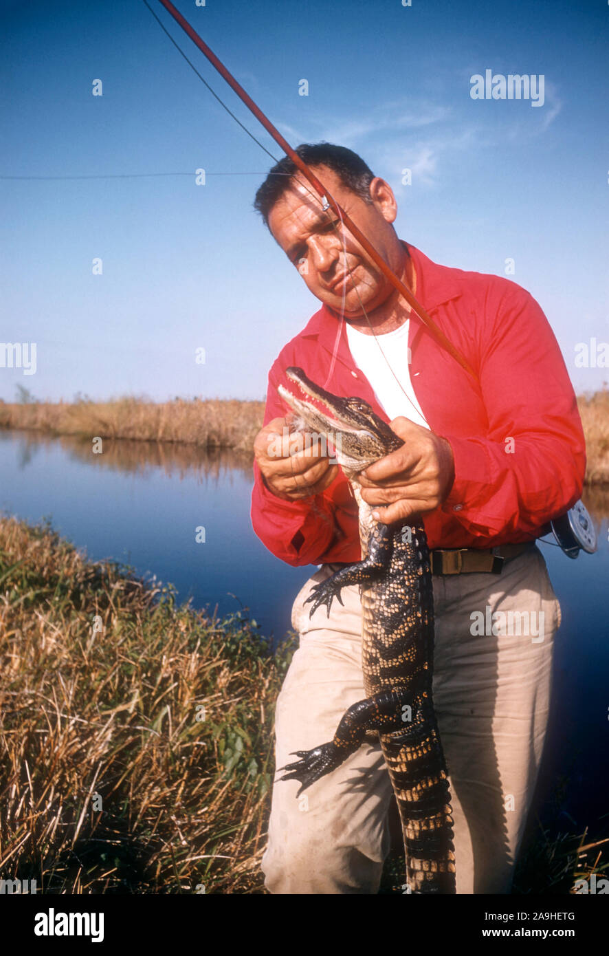 1950 : Un homme non identifié prend sa ligne de pêche sur un alligator's mounth circa 1950. (Photo de Hy Peskin) Banque D'Images