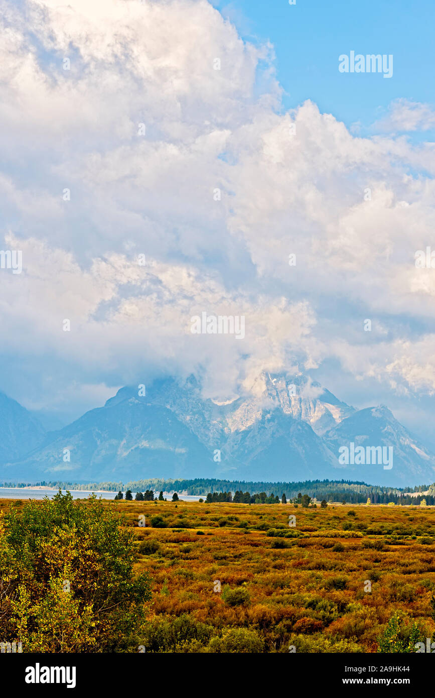 Prairies d'automne et arbres avec lac et Grand Tetons au-delà sous ciel bleu avec de grands nuages blancs moelleux. Banque D'Images