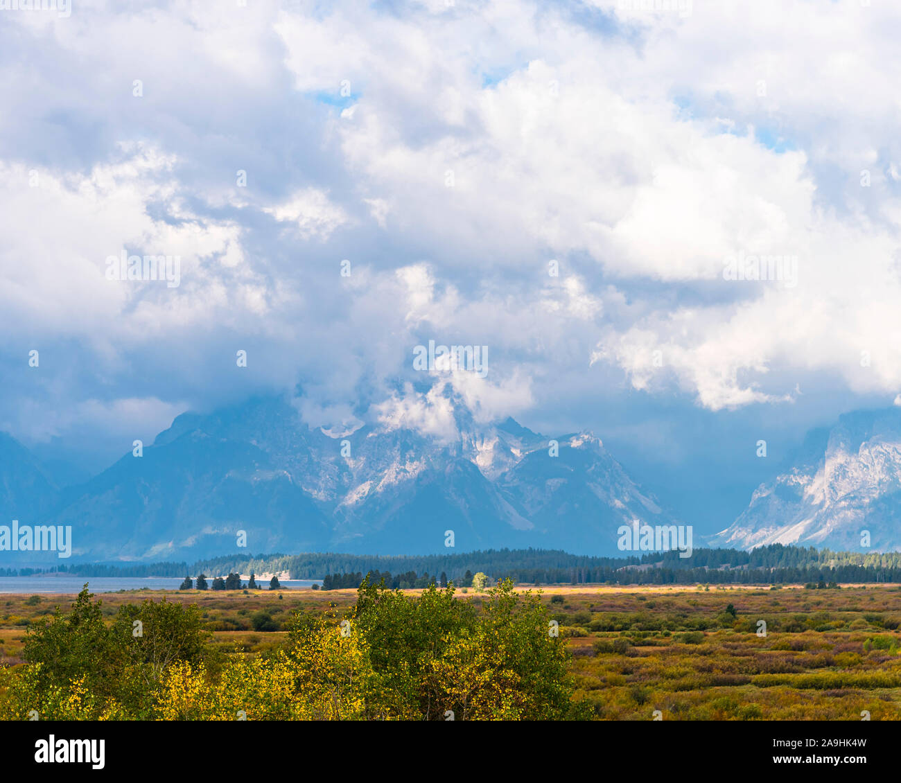 Le début des arbres d'automne et des prairies avec un lac et les Grands Tetons au-delà sous ciel nuageux. Banque D'Images