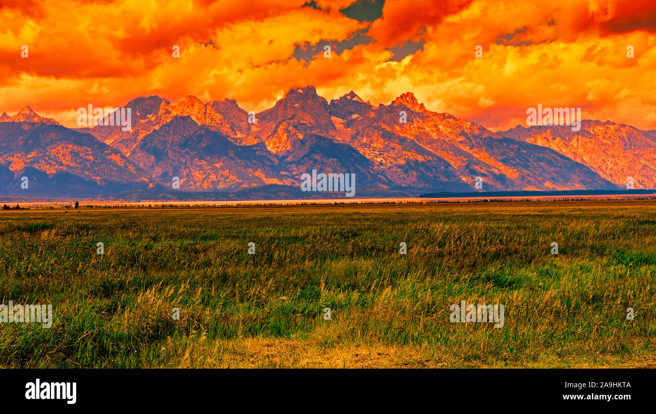 Champs verts herbacés avec de grandes montagnes Rocheuses sous un ciel orange nuageux au coucher du soleil. Banque D'Images
