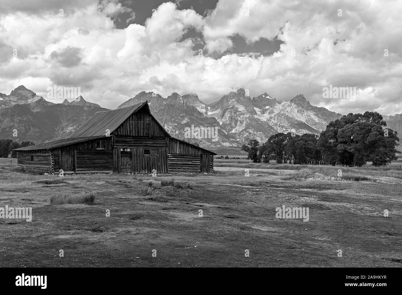 Noir et blanc, Vieux Mormon grange, champs, bosquet et de grandes montagnes Rocheuses sous un ciel avec des nuages blancs moelleux. Grange à partir de 1800. Banque D'Images