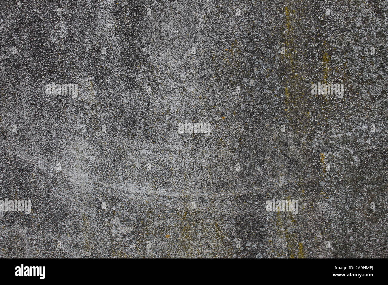 La texture du mur de béton rugueux avec différentes couleurs de lichen Banque D'Images