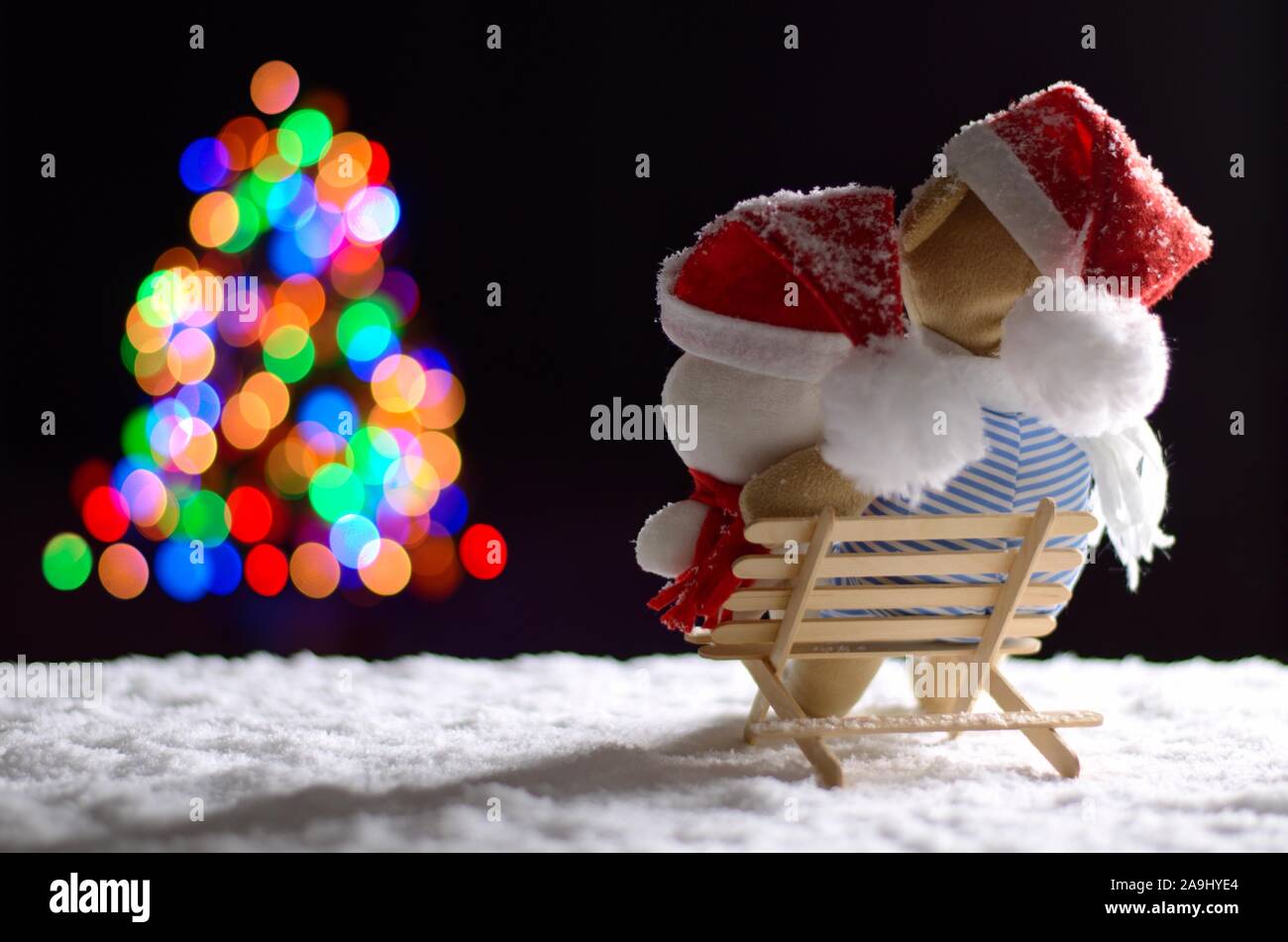 Ours brun et blanc wearing santa hat assis sur banc en bois quand il neige en hiver à la recherche de lumières colorées au flou d'arbre de Noël. Banque D'Images