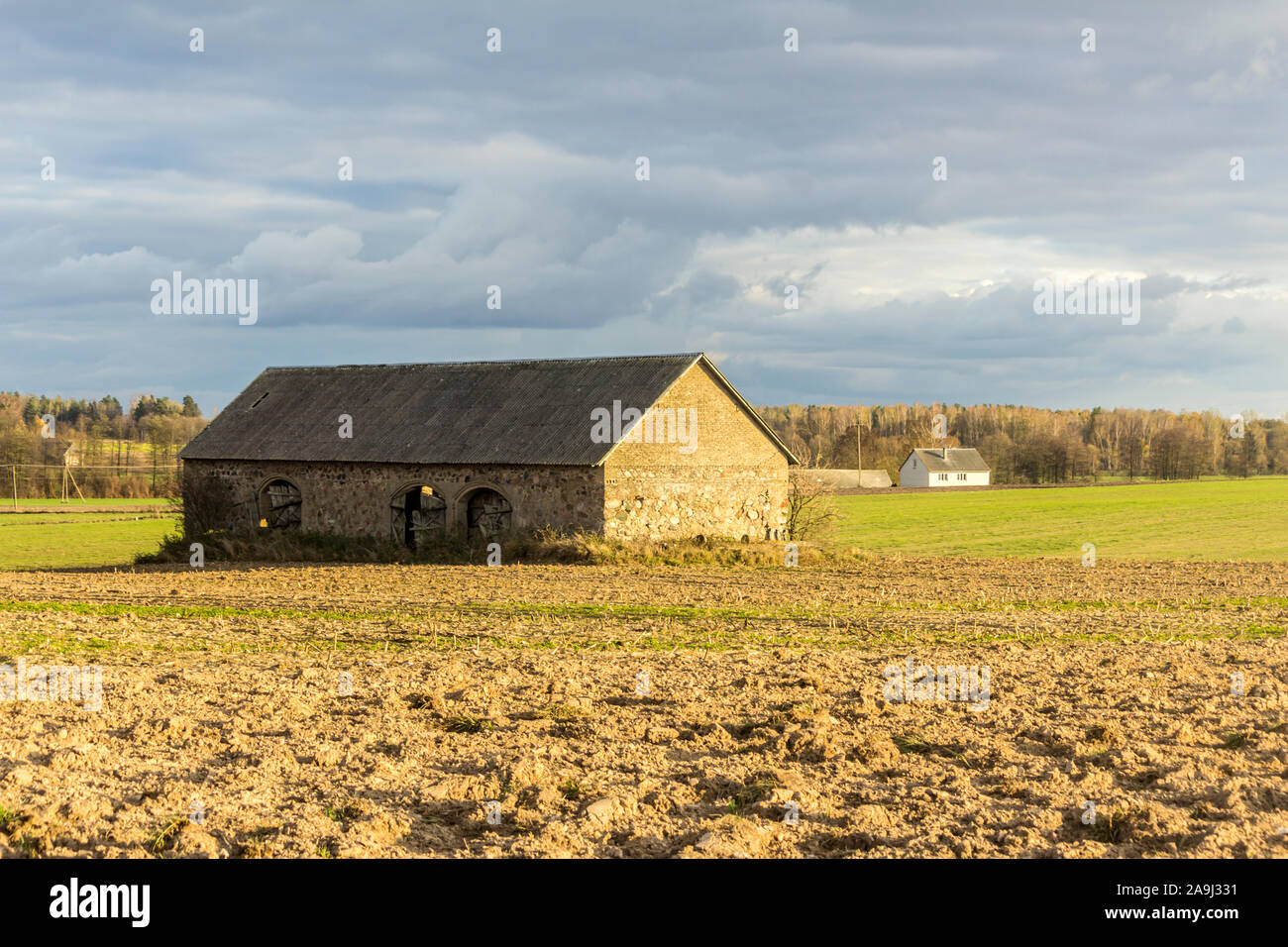 Une ancienne grange en pierre se dresse au milieu d'un champ labouré. Ferme laitière industrielle. Podlasie, Pologne. Banque D'Images