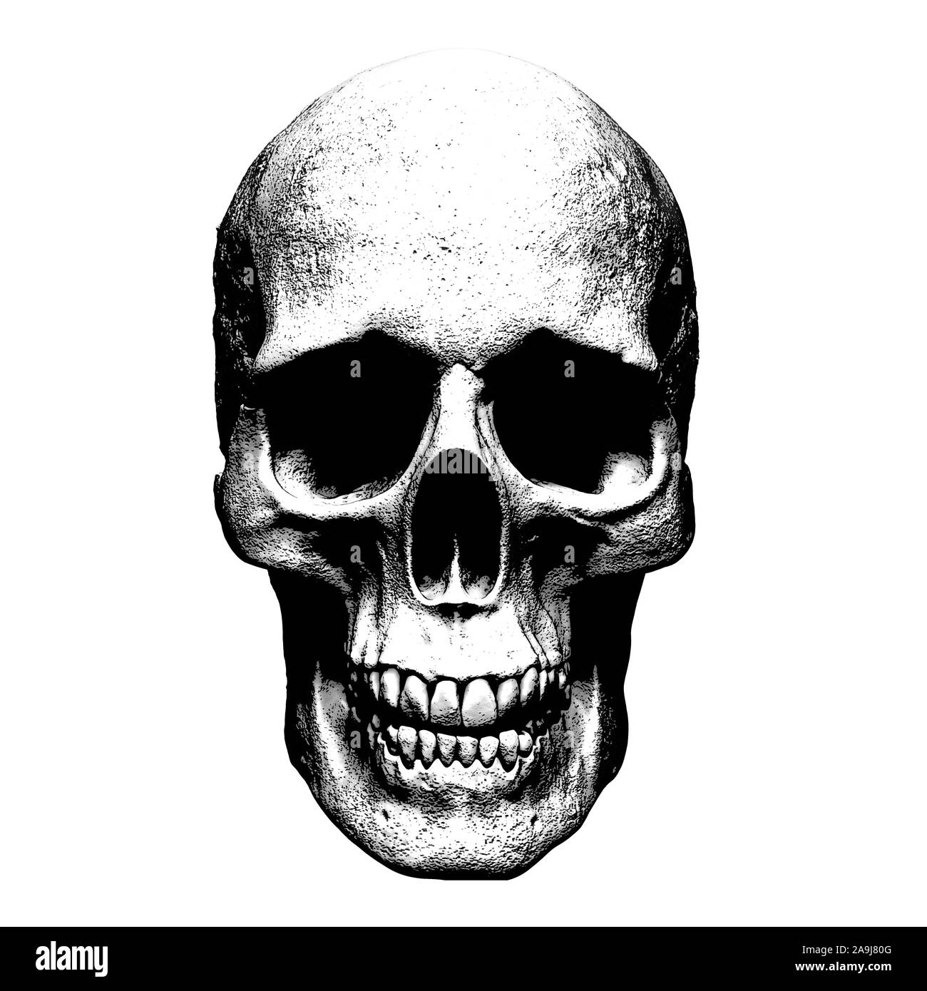 Crâne isolé en rendu 3d'arrière-plan Banque D'Images