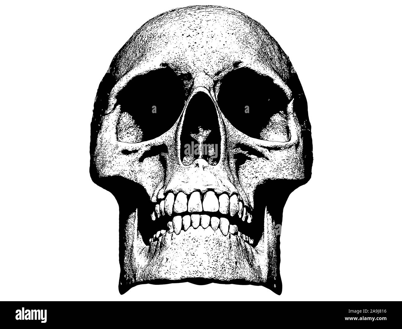 Crâne isolé en rendu 3d'arrière-plan Banque D'Images