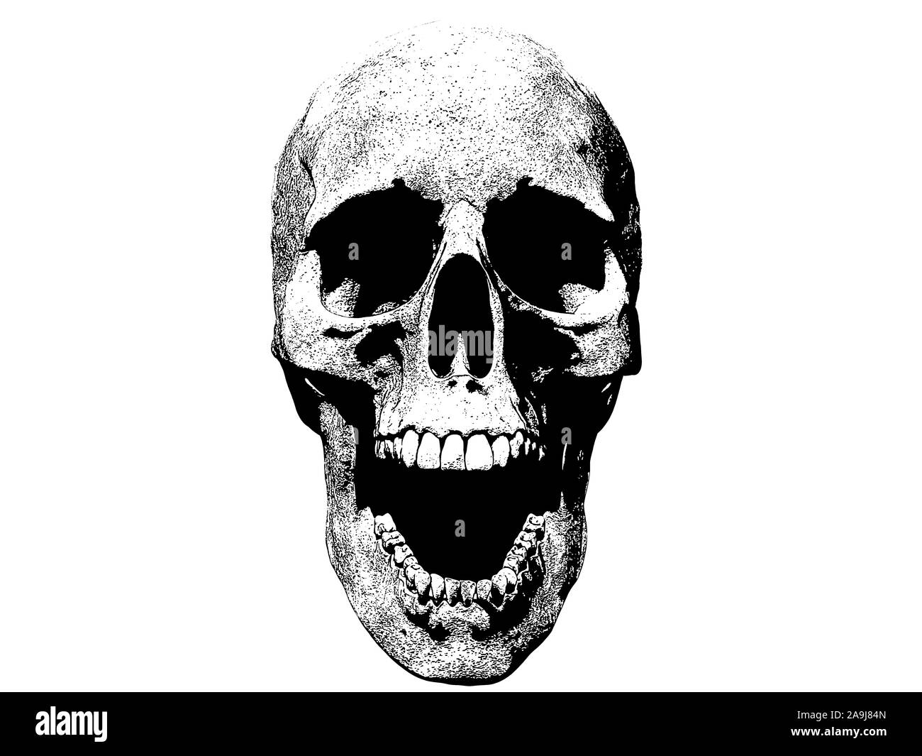 Screaming Skull illustration isolé en arrière-plan 3D render Banque D'Images