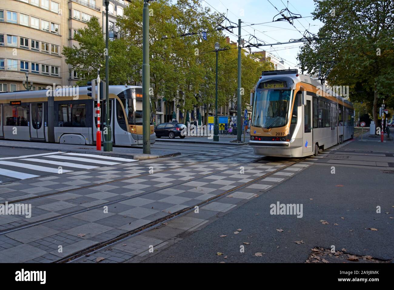 Deux tramways à la liaison à l'arrêt de tramway Bailli, Avenue Louise, Bruxelles, Belgique. Banque D'Images