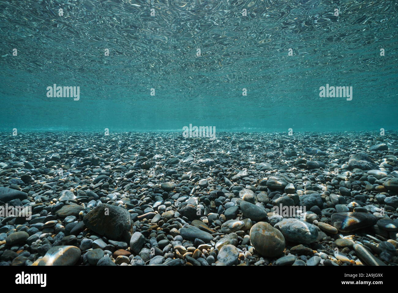 Pebbles rocks ci-dessous sous-marine dans les eaux peu profondes à la surface de la mer, scène naturelles, Méditerranée, France Banque D'Images
