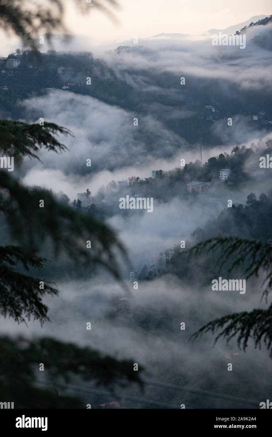 Montagnes brumeuses durant la saison de la mousson dans l'Himalaya. Collines autour de Shimla, Himachal Pradesh, Inde Banque D'Images