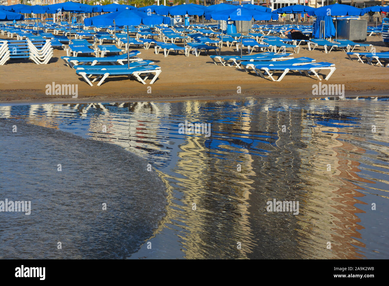 Les chaises longues et parasols sur la plage Levante, reflétée sur le sable humide en début de matinée, Benidorm, Alicante Province, Espagne Banque D'Images