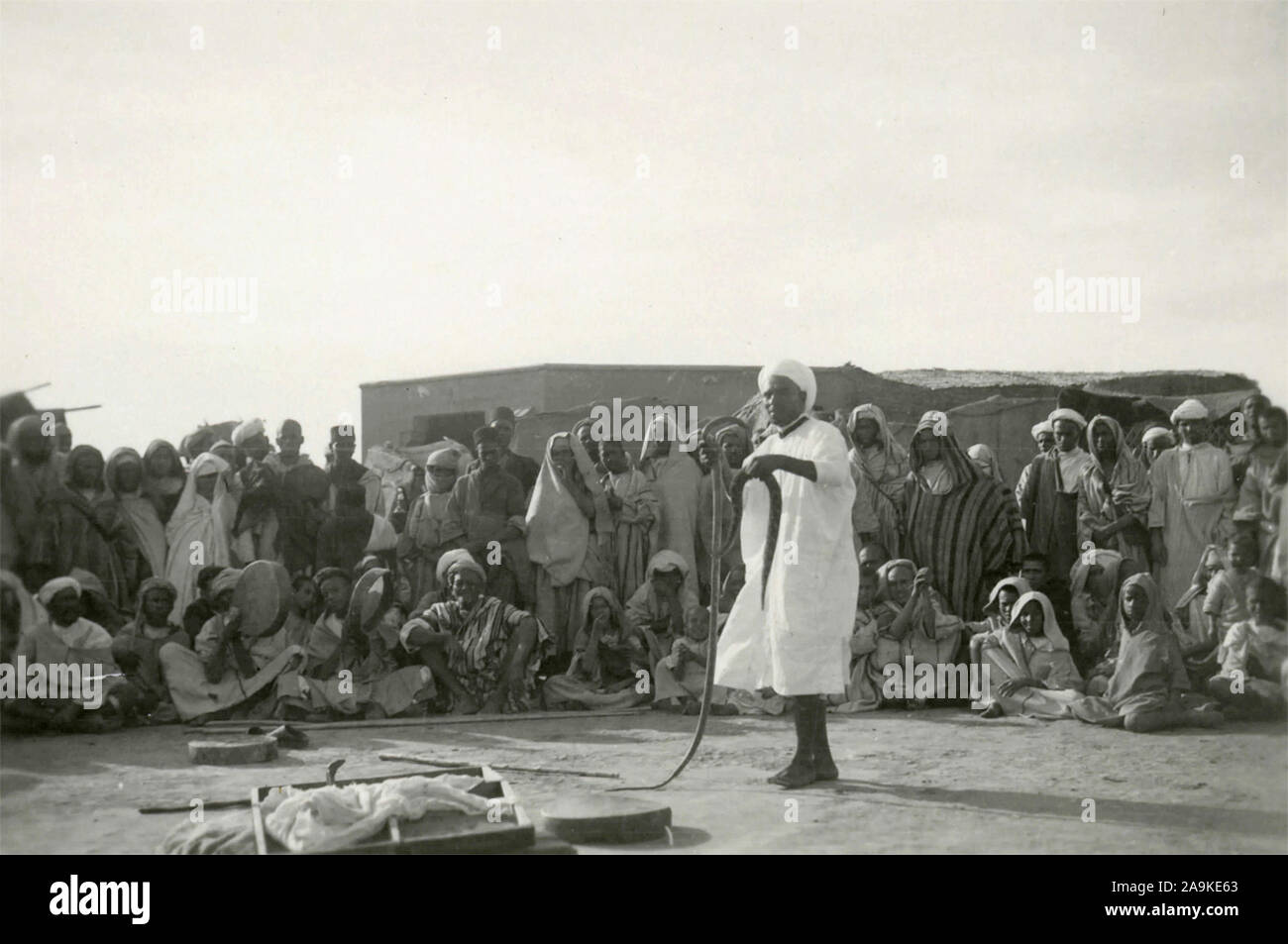 Un arabe montrent avec des serpents Banque D'Images