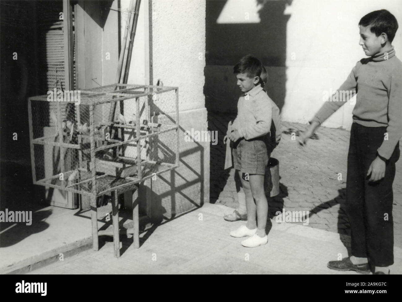 Trois enfants observent une cage à oiseaux, Italie Banque D'Images