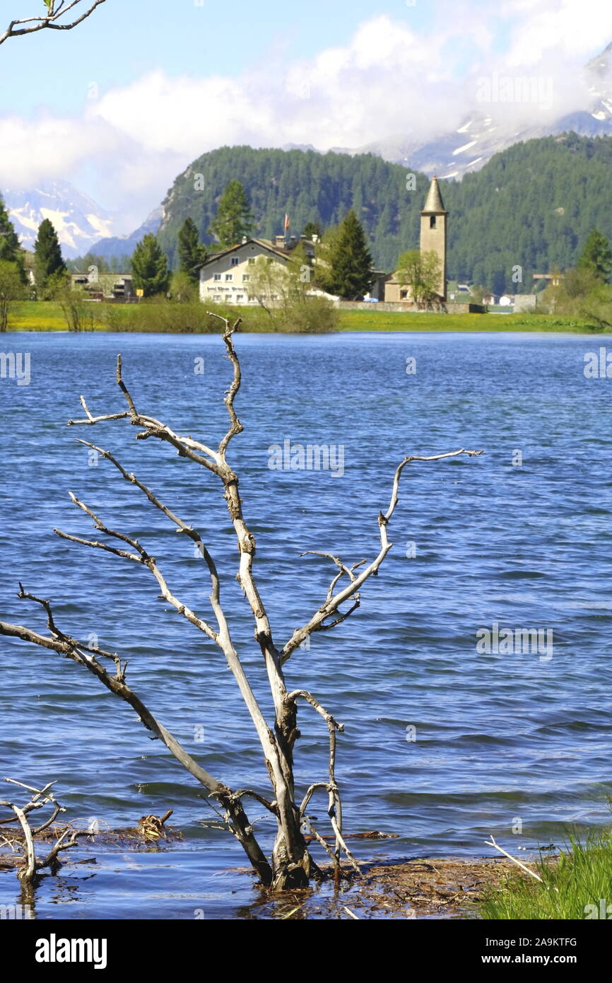 Herbststimmung am idylllischen Silsersee im Oberengadin Banque D'Images