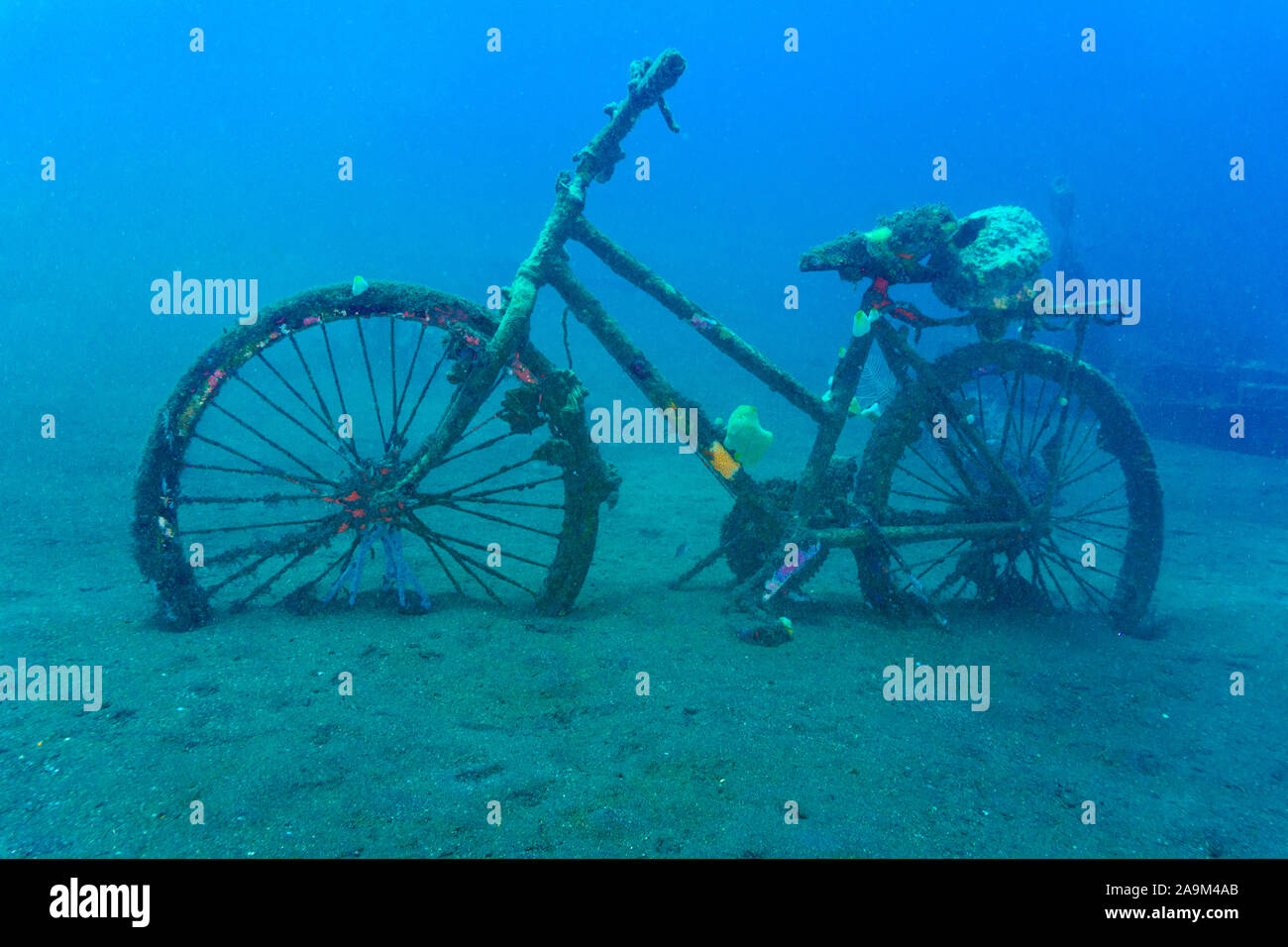 Un vélo placé dans un récif artificiel à Bali (Indonésie) Banque D'Images