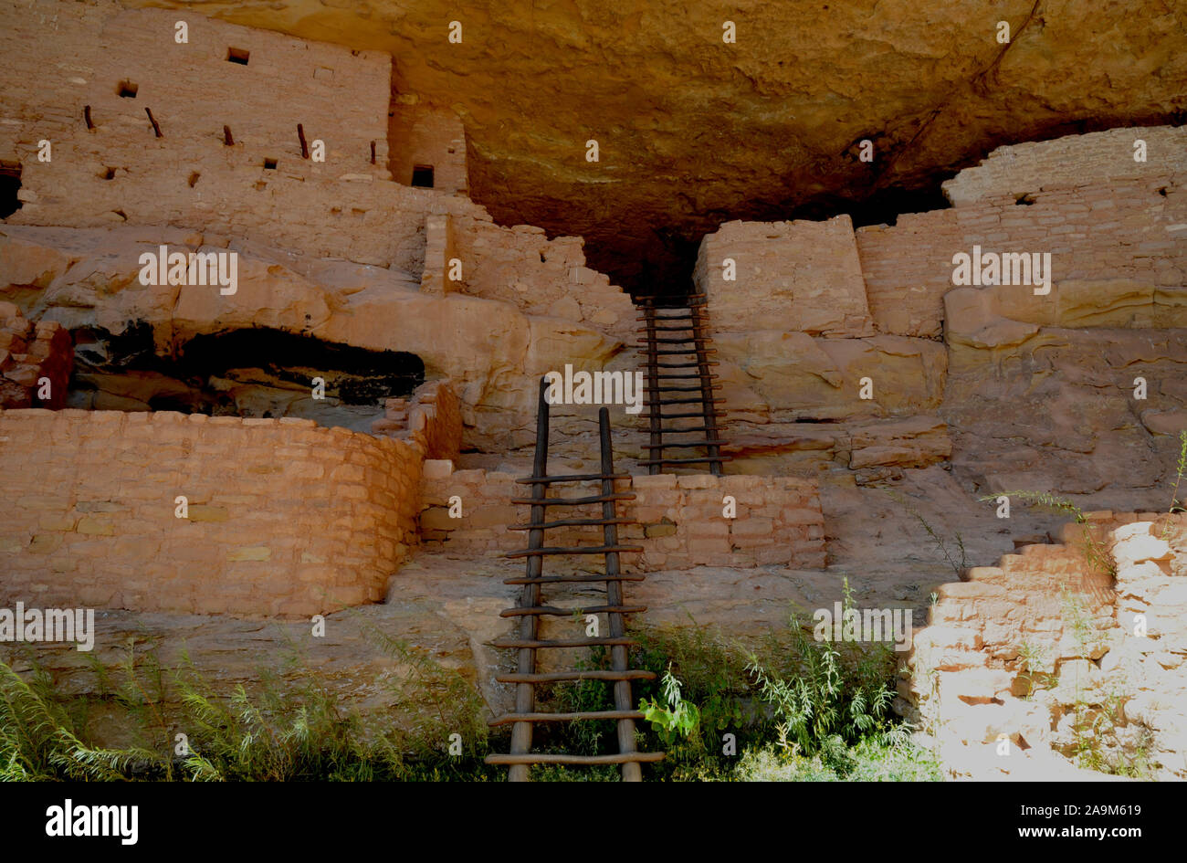 La falaise connue sous le nom d'habitation la longue maison dans le secteur de Wetherill Mesa Mesa Verde National Park dans le sud-ouest du Colorado, USA. Banque D'Images