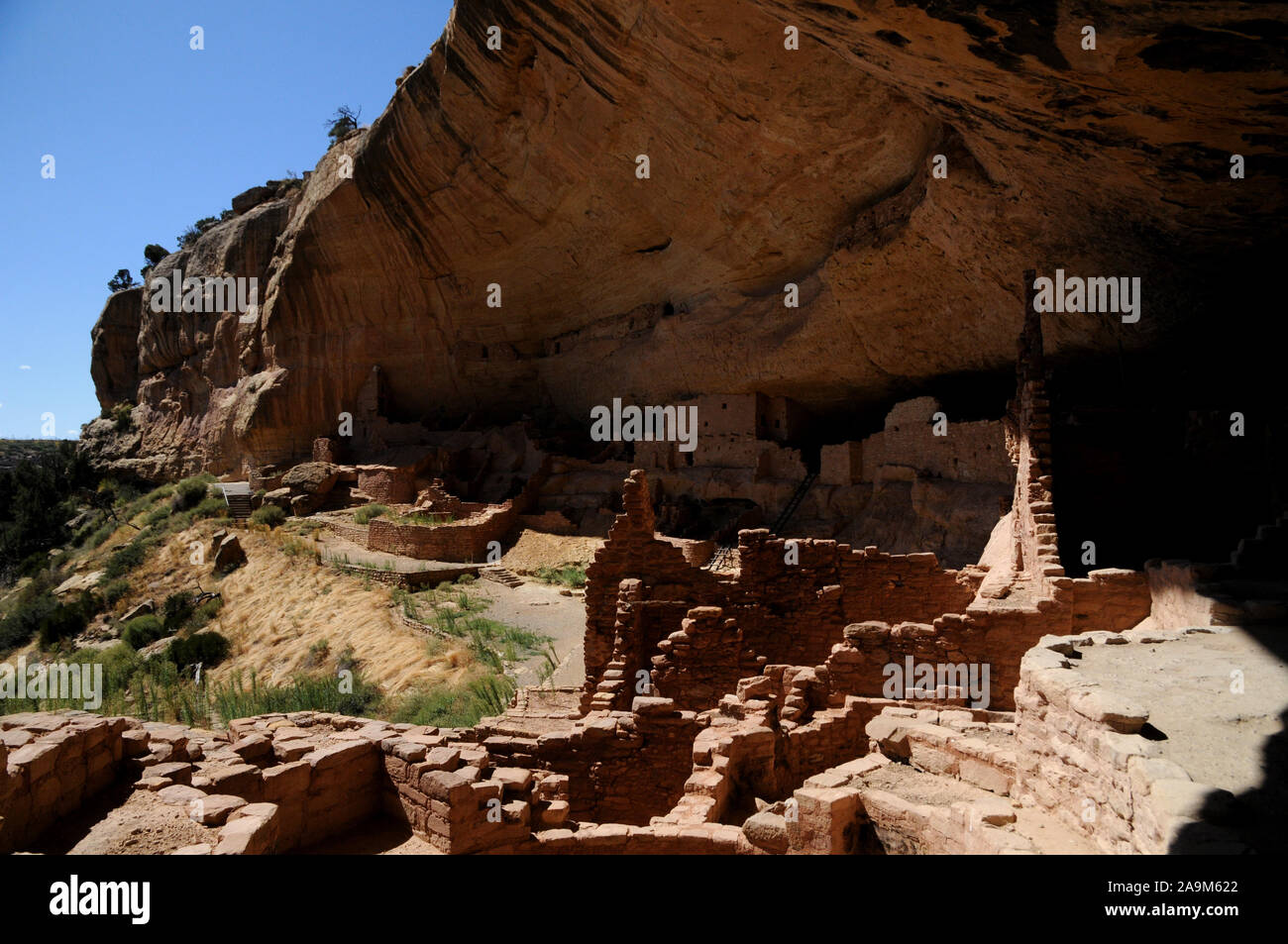 La falaise connue sous le nom d'habitation la longue maison dans le secteur de Wetherill Mesa Mesa Verde National Park dans le sud-ouest du Colorado, USA. Banque D'Images