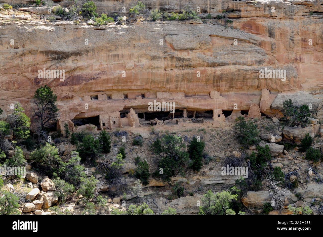 Sommaire des # 16 Nordenskiold cliff en séjour à la zone d'Mesaoverlook Wetherill Mesa Verde National Park. Il y a un bon sentier jusqu'à l'oublier. Banque D'Images