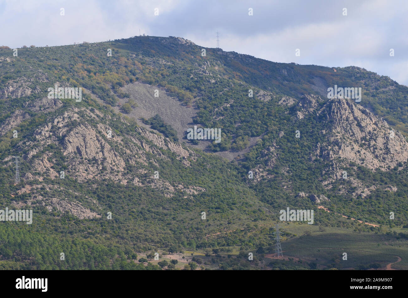 Bois de chêne et de maquis méditerranéen en Sierra Madrona parc naturel, au sud de l'Espagne Banque D'Images