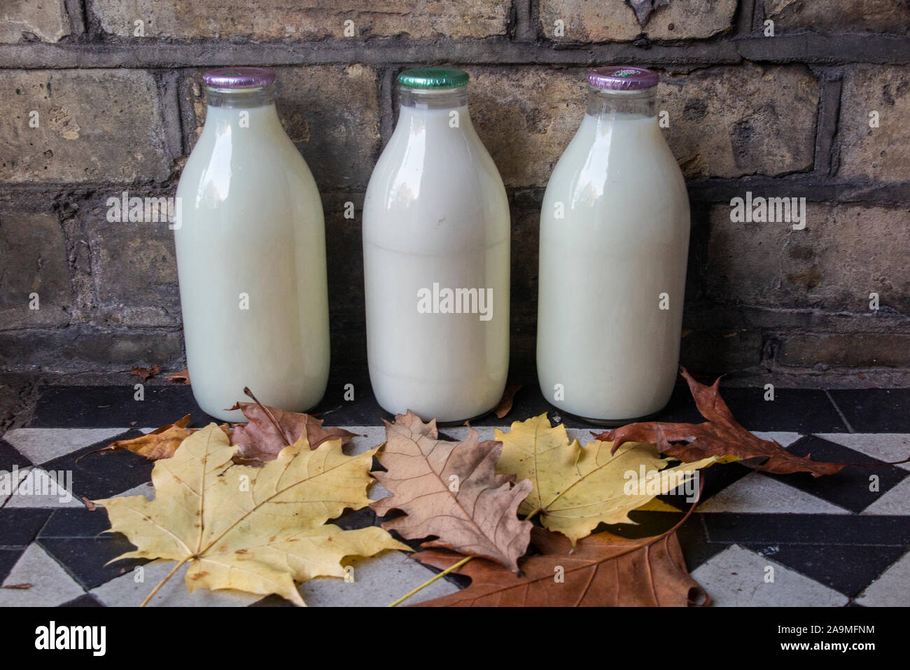Des bouteilles de lait sur une porte avec la chute des feuilles d'automne Banque D'Images