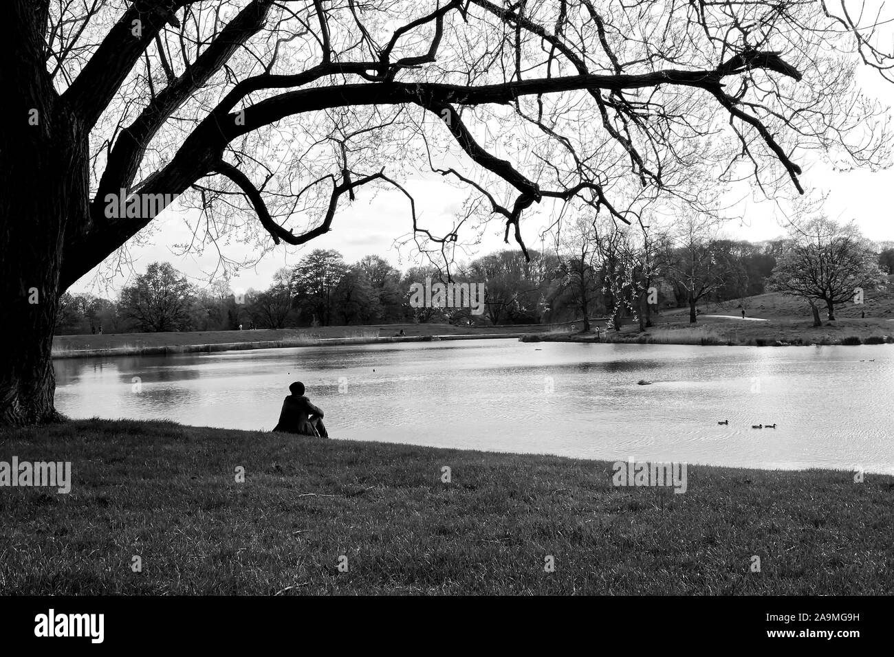 Un homme assis sur l'herbe, sous un arbre, n'envisage la nature. Banque D'Images