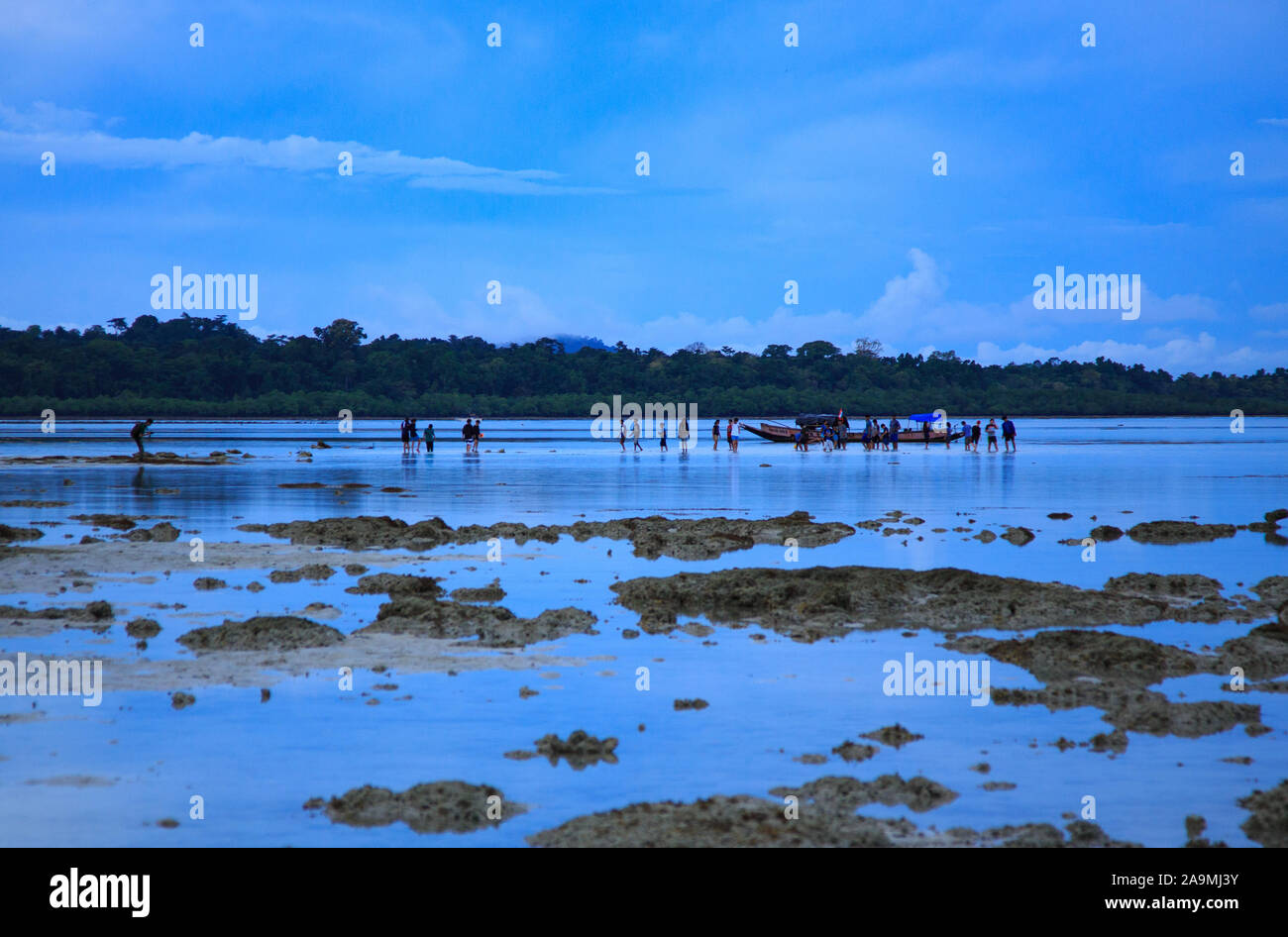 Un groupe de voyageurs s'engager dans l'activité de marche de la zone intertidale à Havelock Island (Inde), d'Andaman Banque D'Images