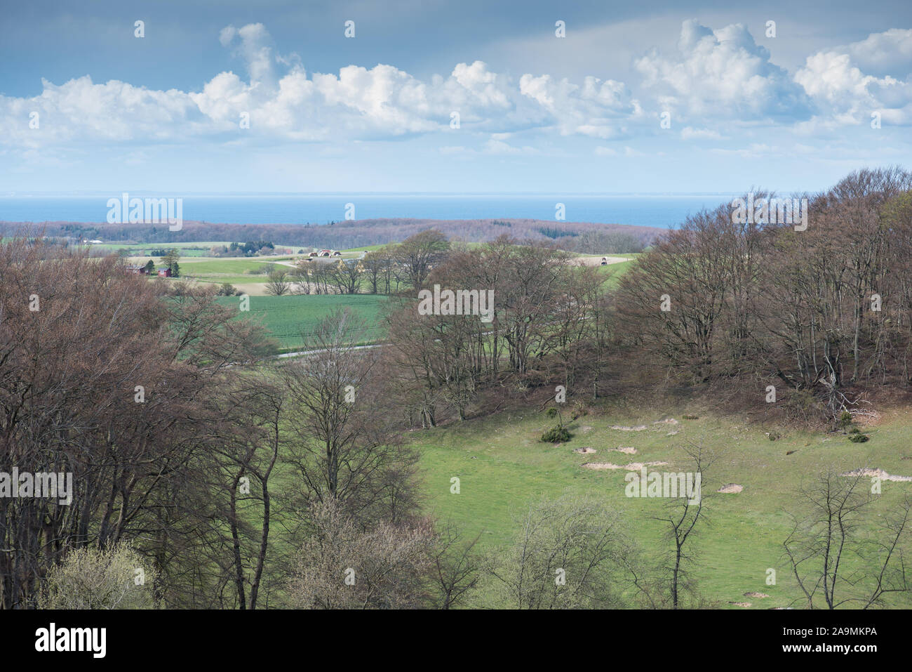 Panorama de paysage sur Møn au Danemark au début du printemps Banque D'Images