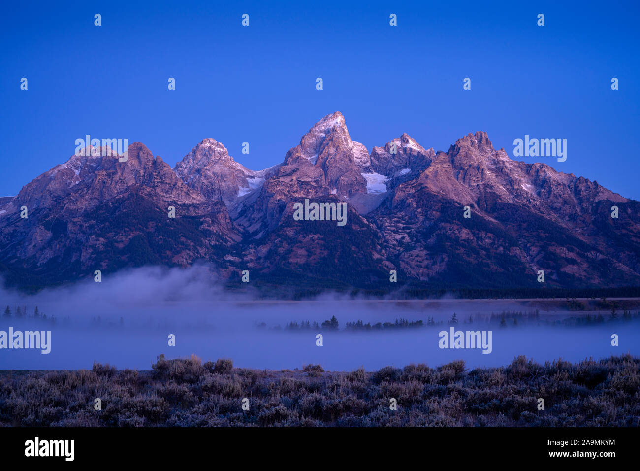 Les Tetons de participation électorale, vue sur le glacier du Parc National de Grand Teton, Wyoming, États-Unis. Banque D'Images