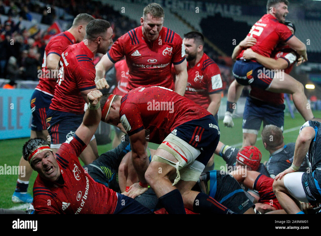 Swansea, Royaume-Uni. 16 Nov, 2019. Les joueurs de Munster y compris Billy Holland (avant) célébrer lorsqu'ils scorent leur dernière essayez en fin de match. Heineken Cup match des champions, piscine 4, Ospreys v Munster rugby au Liberty Stadium de Swansea, Pays de Galles du Sud le samedi 16 novembre 2019. Photos par Andrew Orchard, Crédit : Andrew Orchard la photographie de sport/Alamy Live News Banque D'Images