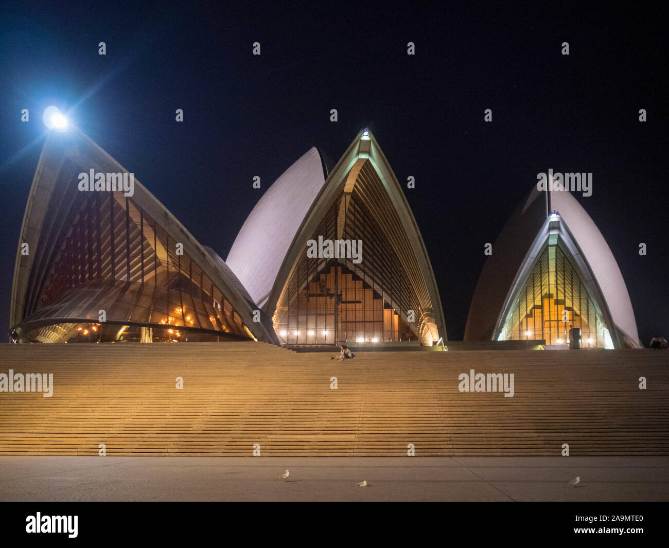 L'Opéra de Sydney photo de nuit Banque D'Images