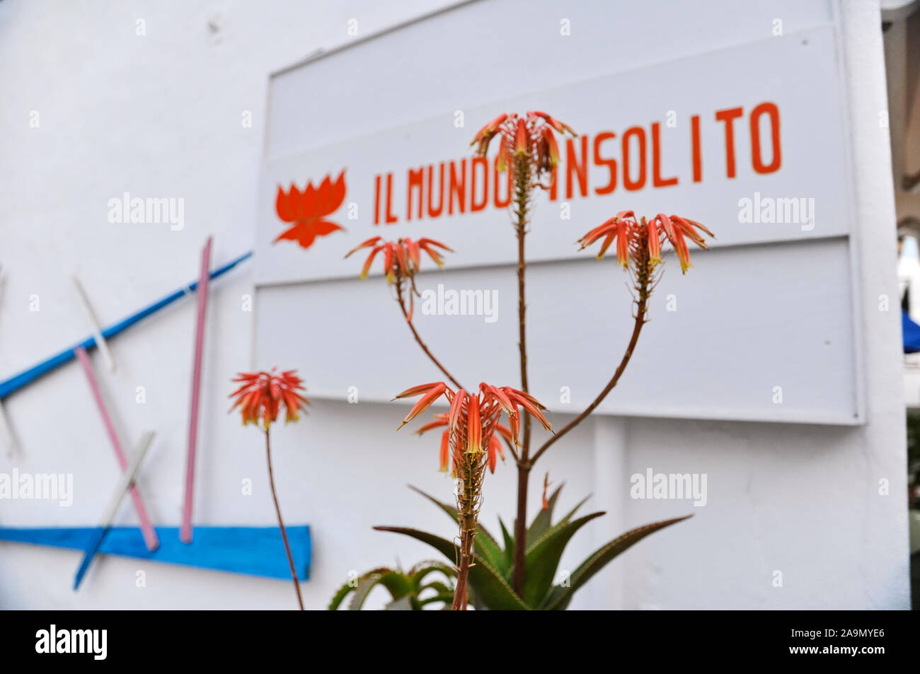 Boutique de vêtements de mode nommé Il Mundo Insolito avec Aloe maculata plante avec des fleurs orange (Sant Francesc, Formentera, Iles Baléares, Espagne) Banque D'Images