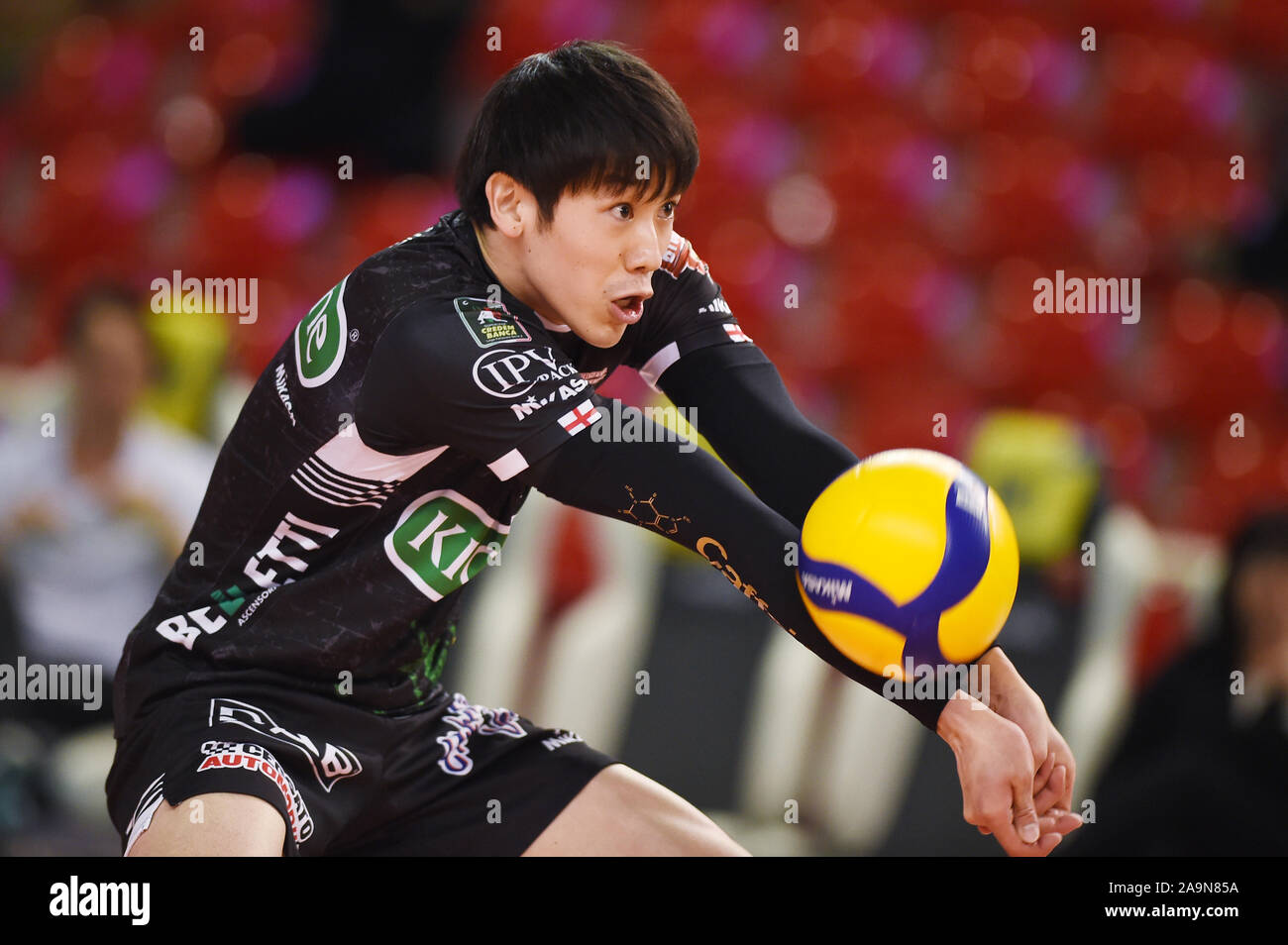 Padova, Italie. 14Th Nov, 2019. Yuki Ishikawa (Padoue), le 14 novembre 2019 - Volley-ball : Serie A match entre l'Kioene Padova 1-3 Sécurité Sir Kioene à Pérouse Conad Arena à Padoue, en Italie. Credit : Itaru Chiba/AFLO/Alamy Live News Banque D'Images