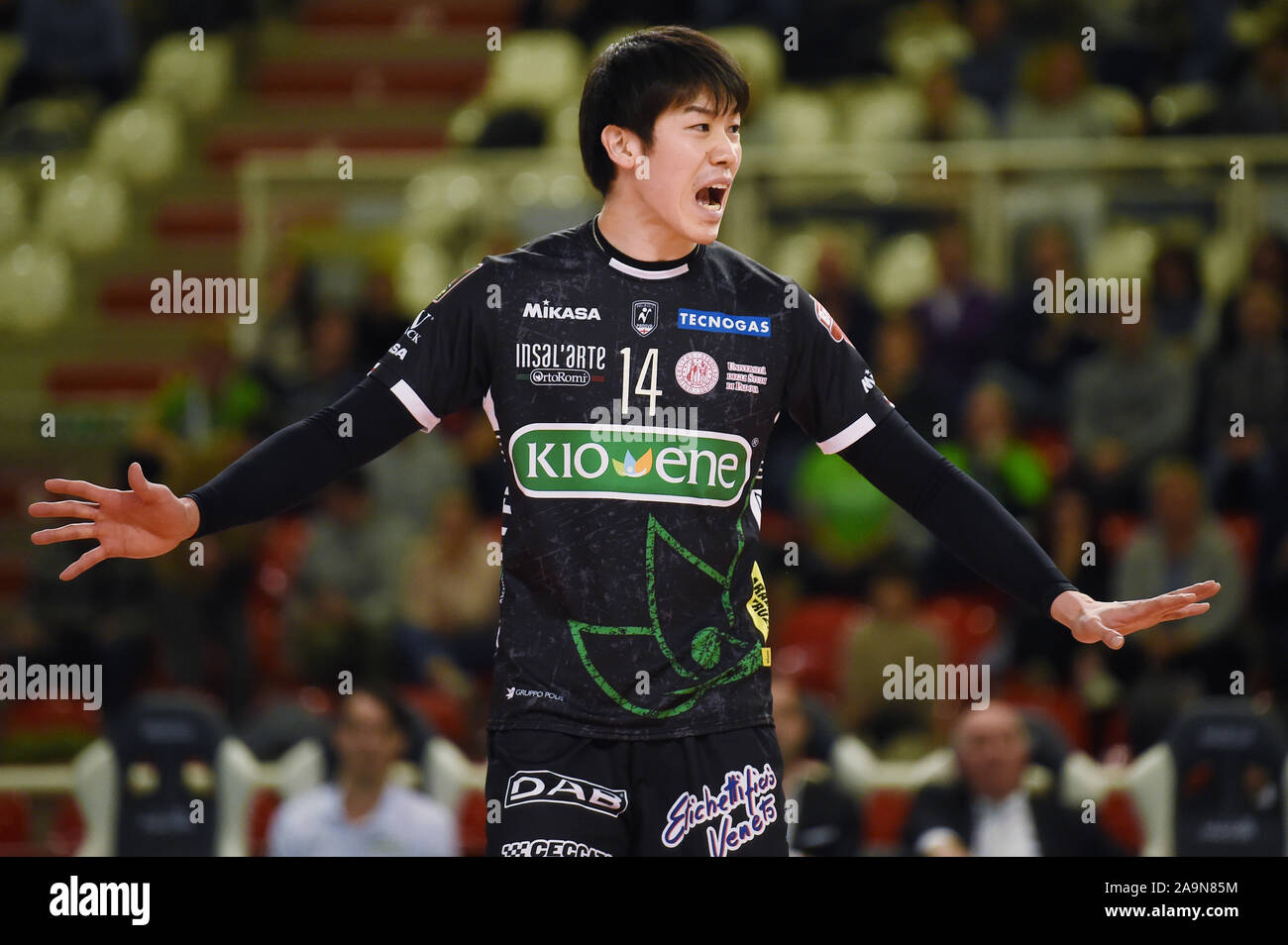 Padova, Italie. 14Th Nov, 2019. Yuki Ishikawa (Padoue), le 14 novembre 2019 - Volley-ball : Serie A match entre l'Kioene Padova 1-3 Sécurité Sir Kioene à Pérouse Conad Arena à Padoue, en Italie. Credit : Itaru Chiba/AFLO/Alamy Live News Banque D'Images