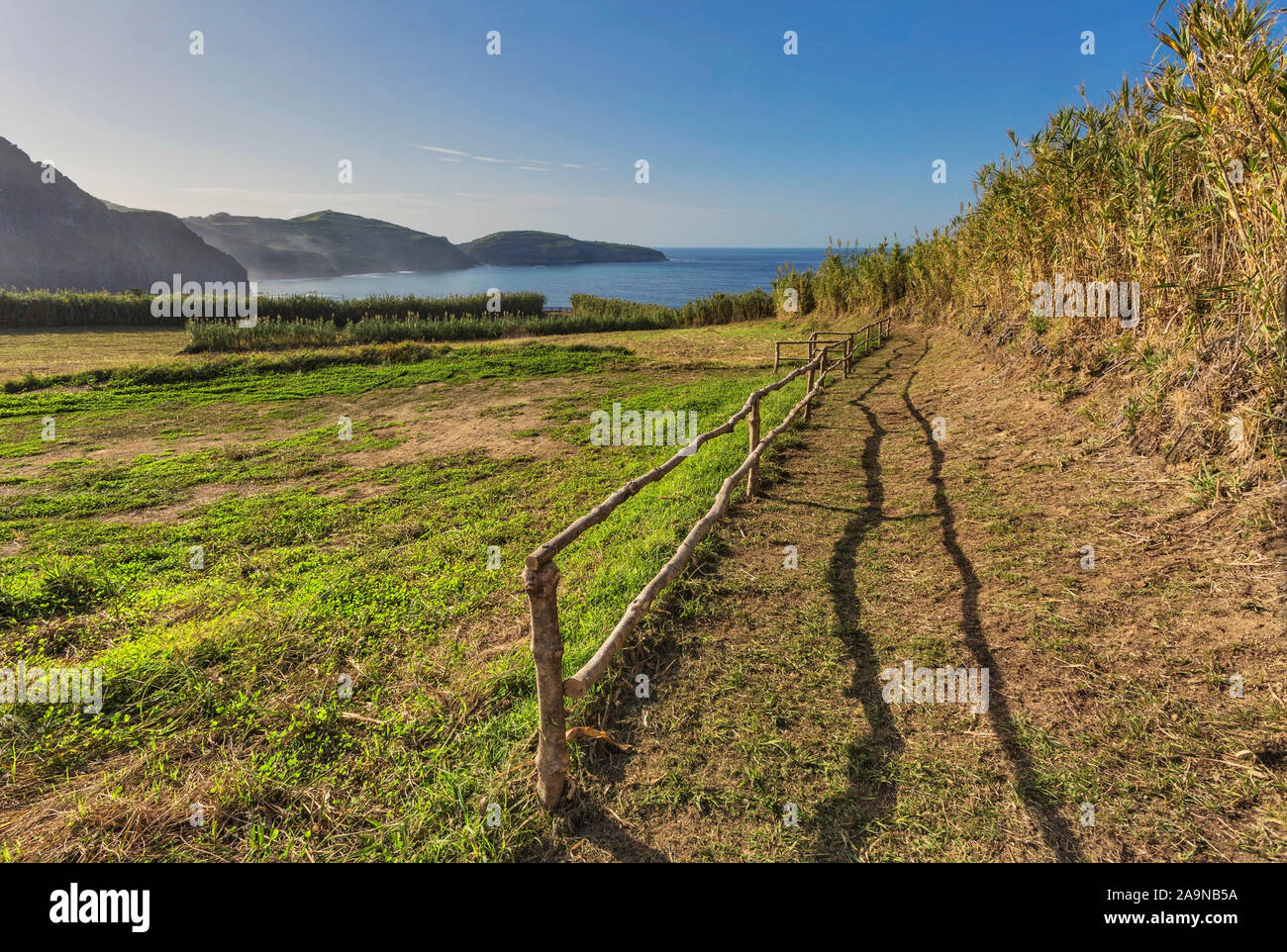 Vue panoramique sur les montagnes, les vallées, côtes de la mer de l'île de São Miguel, Açores, Portugal Banque D'Images