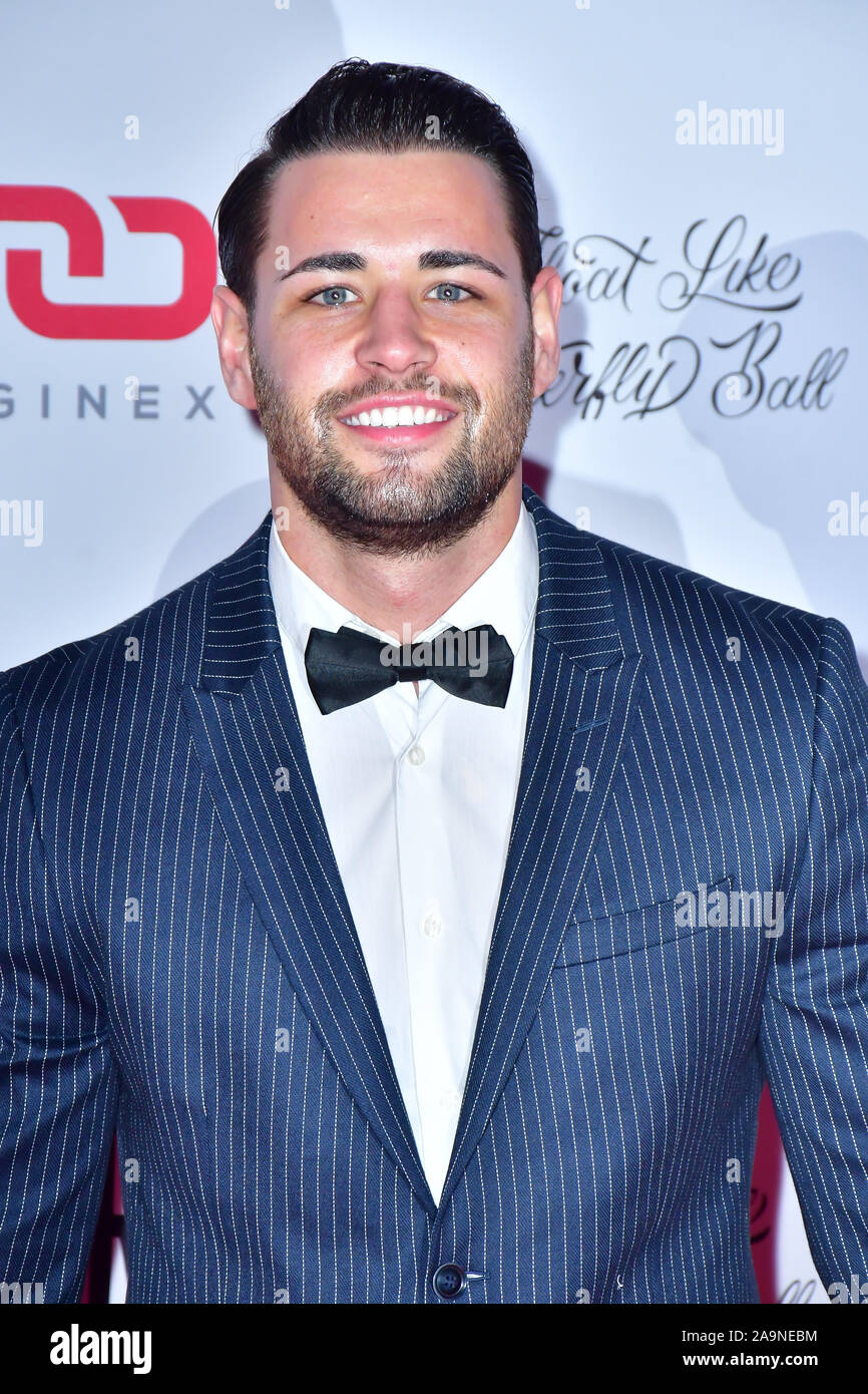 Londres, Royaume-Uni. 16 Nov 2019. Volait comme un papillon Ball pour enfants Caudwell Charity au Grosvenor House Hotel, le 16 novembre 2019, Londres, Royaume-Uni. Credit Photo : Alamy/Capital Live News Banque D'Images