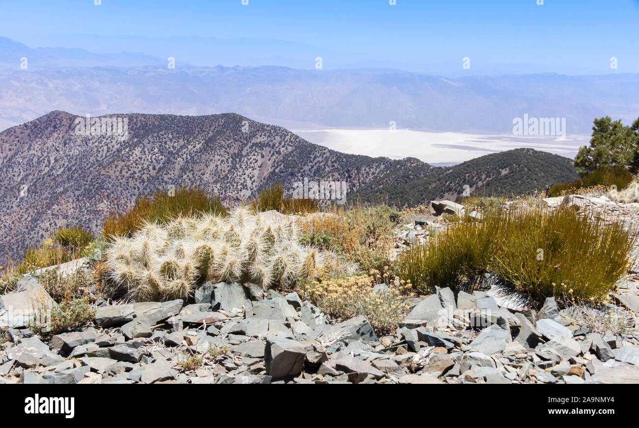 Vue sur la vallée de la mort et les montagnes de la Sierra Nevada de pic Wildrose Banque D'Images