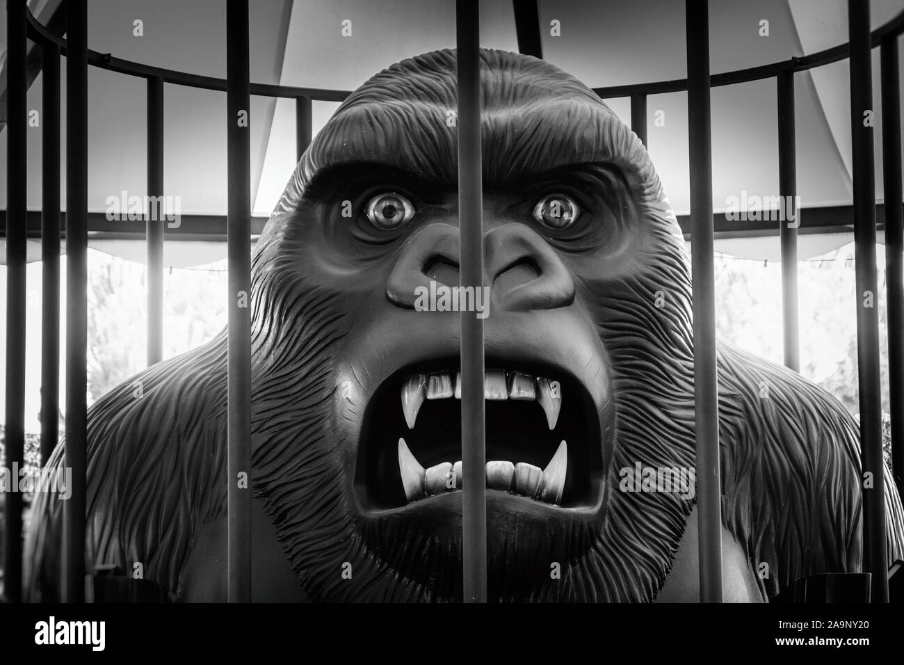Gorille King Kong en cage rage Banque D'Images