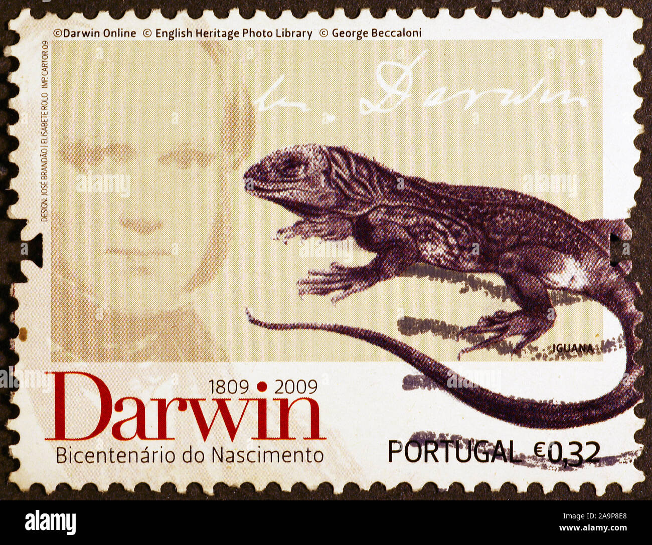 Charles Darwin et iguane sur timbre portugais Banque D'Images