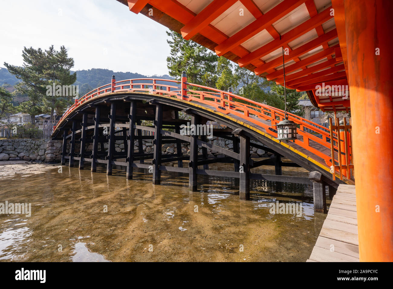 Le sanctuaire d'Itsukushima et sa porte torii sont uniques pour être construits sur l'eau, apparemment flottant dans la mer pendant la marée haute.Miyajima, Japon Banque D'Images