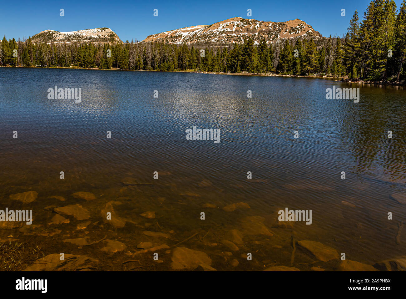 Théière Lake est le long de la Mirror Lake Scenic Byway dans les montagnes Uinta dans le nord de l'Utah. Banque D'Images