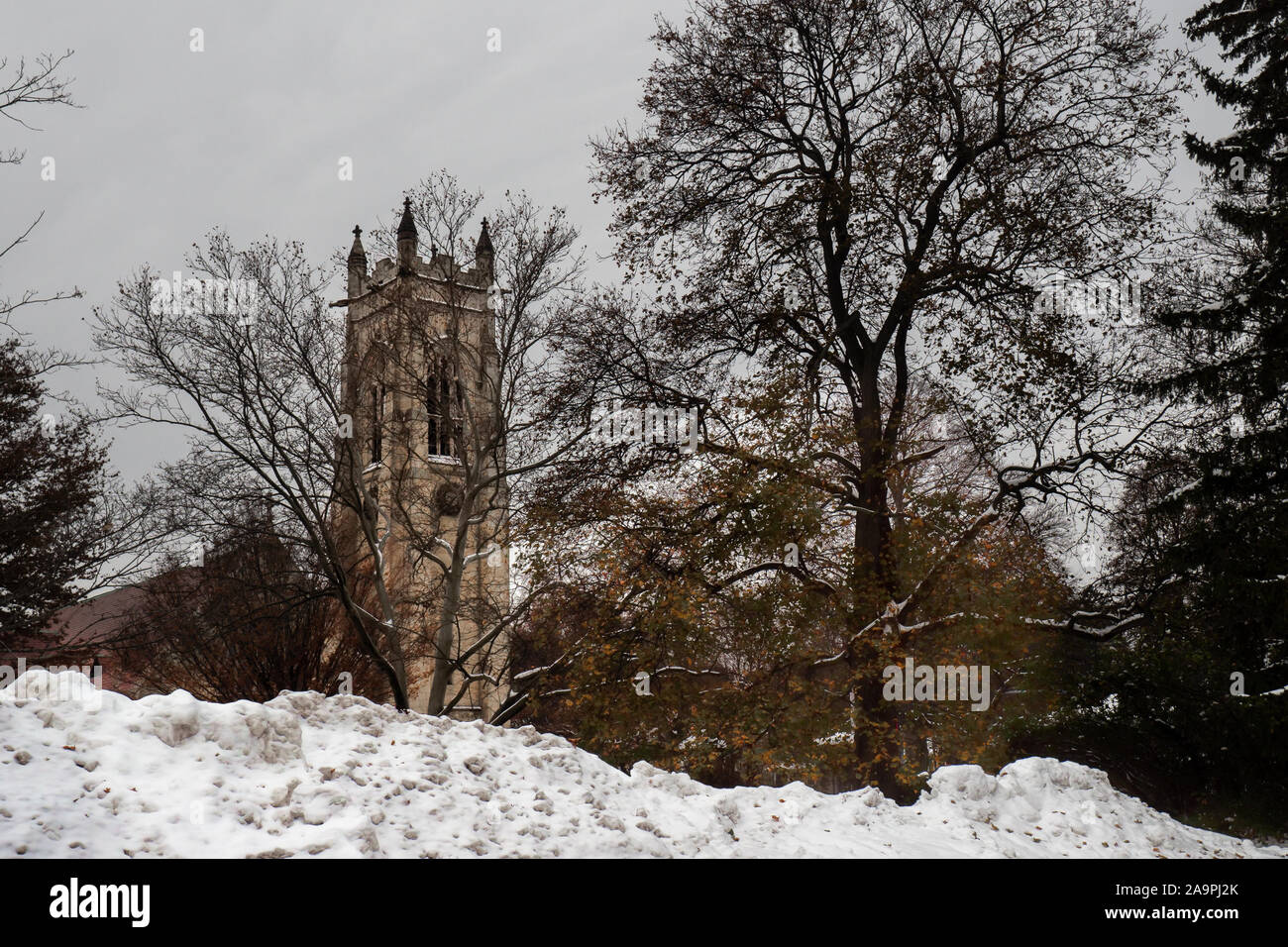 Belle église gothique clocher derrière des arbres et de la neige Banque D'Images