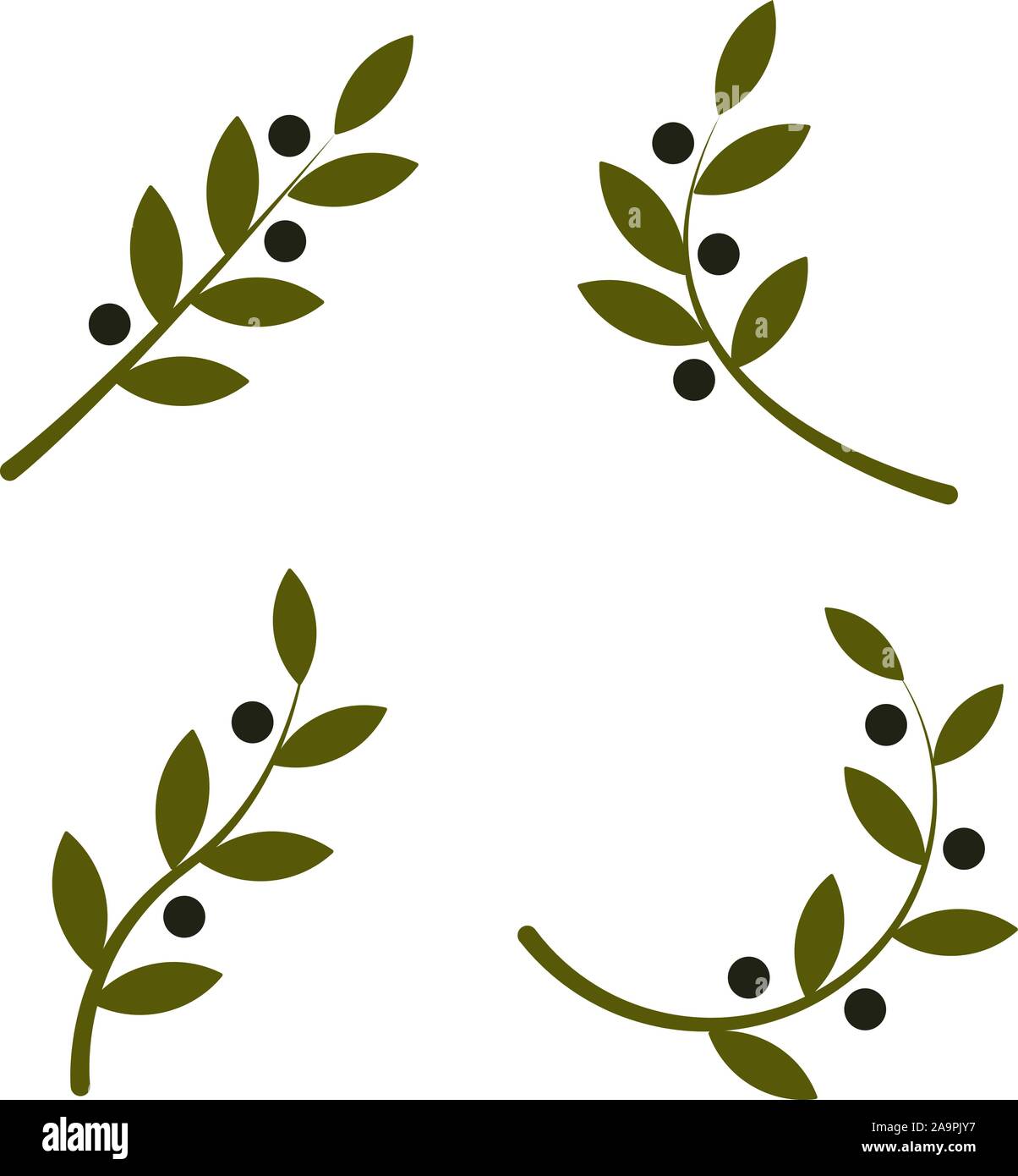 Ensemble de vecteur vert olive branch logo. L'huile d'olive signe. Symbole de la paix. Signe religieux grec. Icône mythologique.produits santé label. Organic Illustration de Vecteur