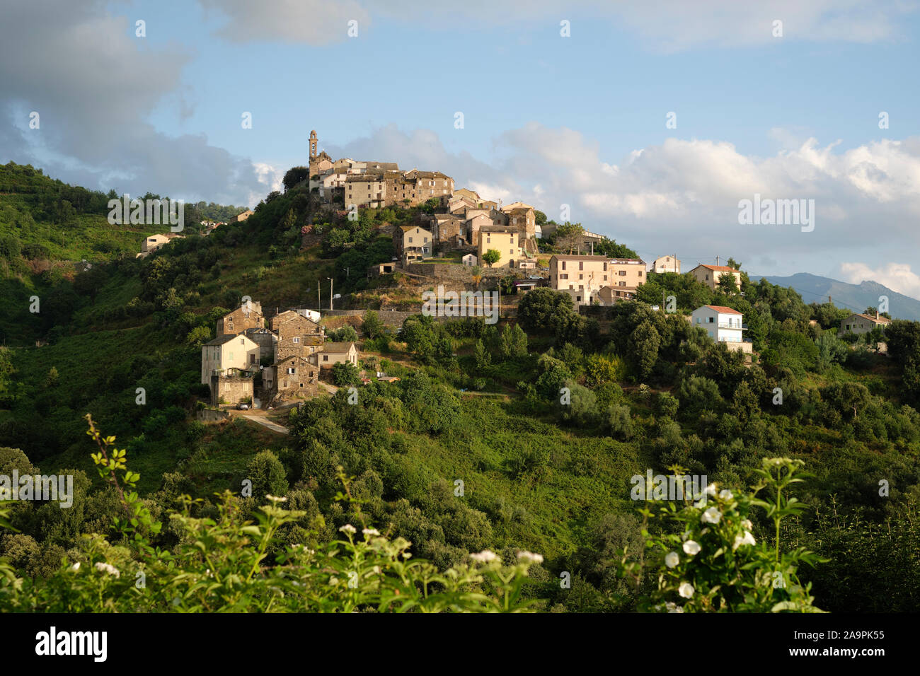 Sorbo-Ocagnano village perché dans le département de la Haute-Corse et de la Corse - Corse paysage villageois. Banque D'Images