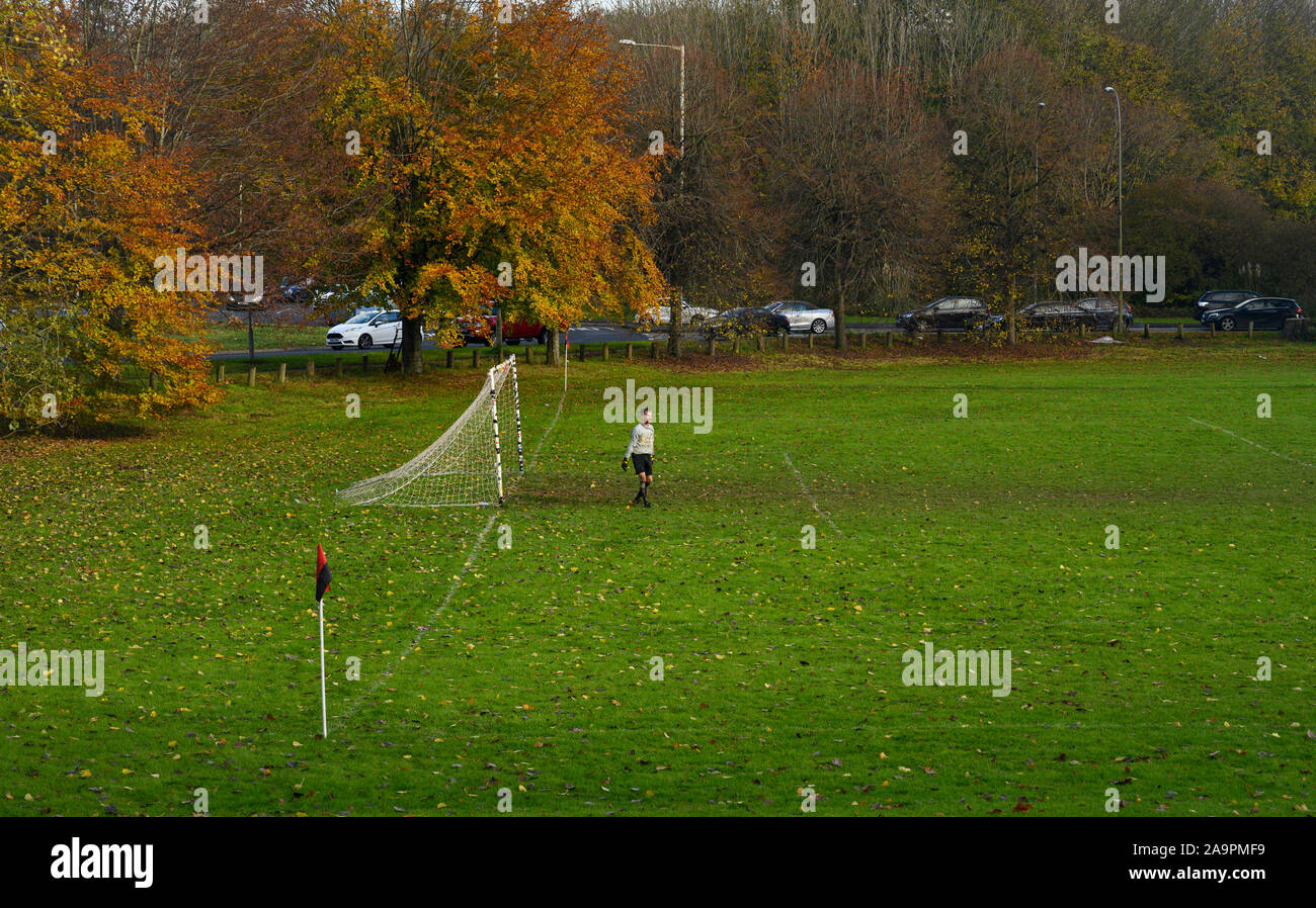 Brighton UK 17 novembre 2019 - Le gardien de Castle Club watches jouer comme ils prennent sur Broadwater dans un match de football amateur local sur fond de couleurs d'automne sur un jour froid et sec à Patcham à la périphérie de Brighton. D'autres parties de la Grande-Bretagne connaît encore humide avec plus de pluie prévue pour les prochains jours . Crédit : Simon Dack / Alamy Live News Banque D'Images