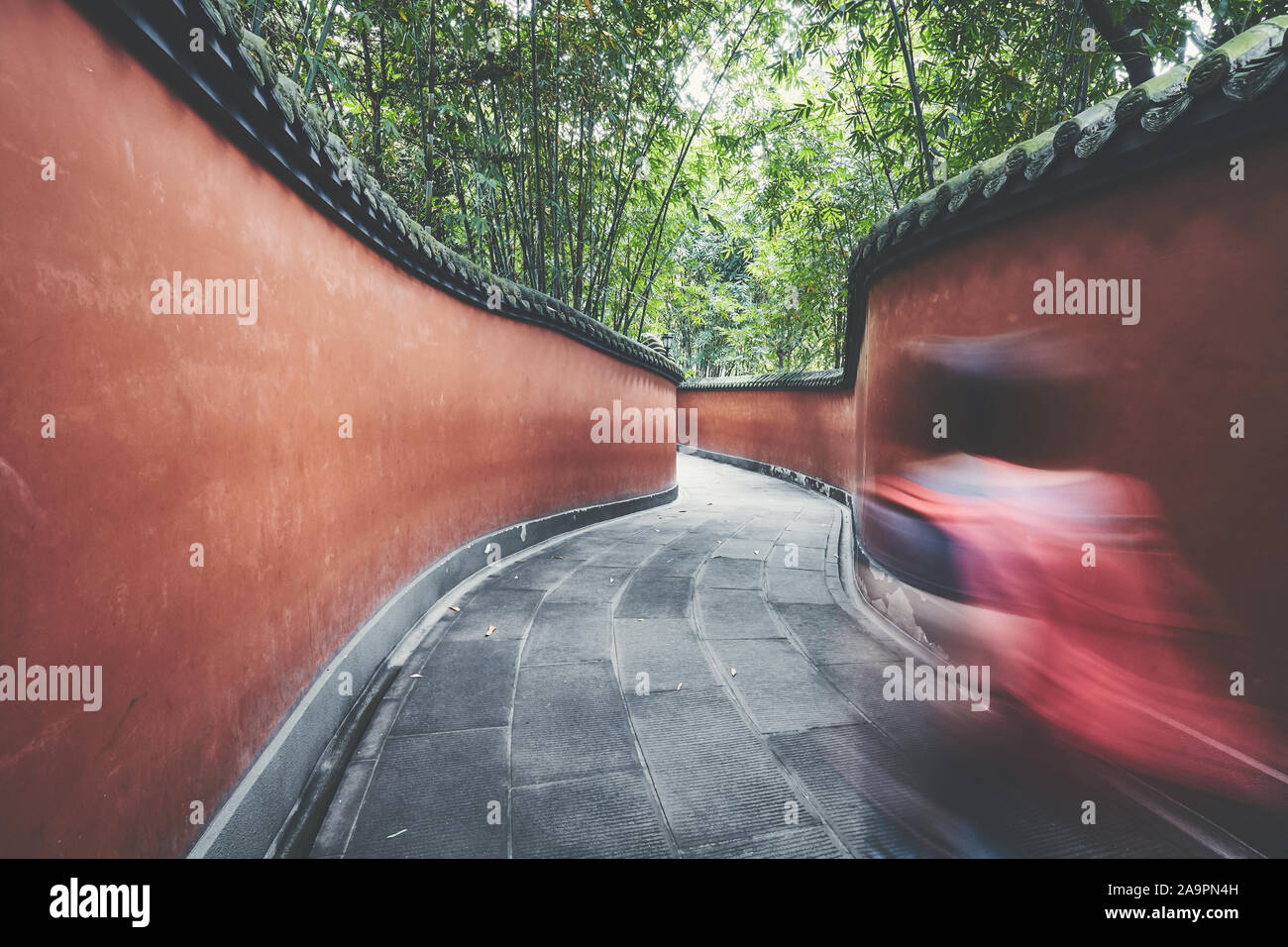 Motion blurred'promenades à travers les murs rouge passage entouré de forêt de bambou, harmonisation des couleurs appliquées, Chengdu, Chine. Banque D'Images