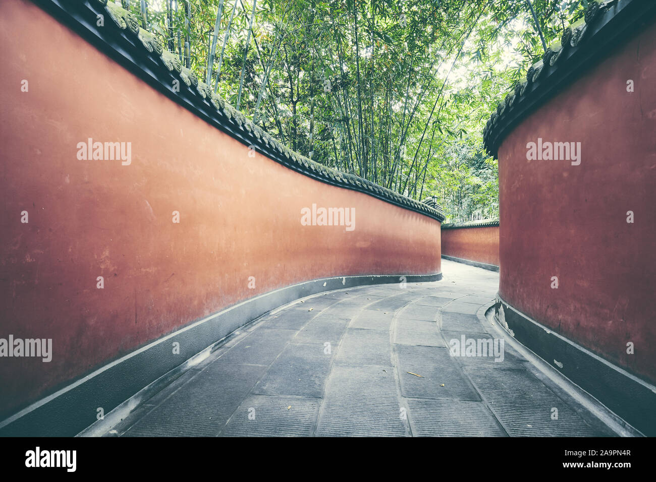 Des murs rouges mystérieux passage entouré de forêt de bambou, harmonisation des couleurs appliquées, Chengdu, Chine. Banque D'Images