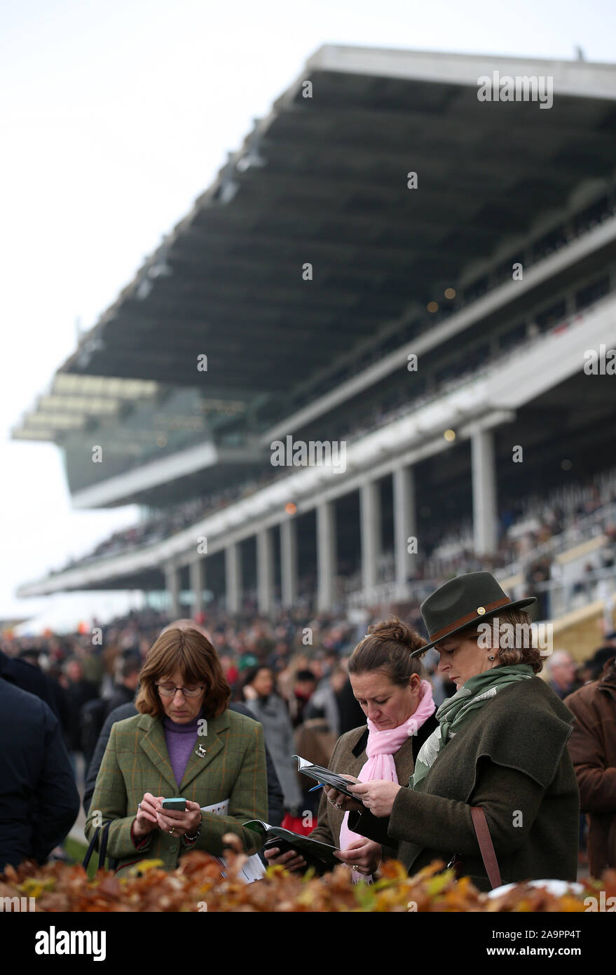 L'étude Racegoers former au cours de la réunion de novembre à l'Hippodrome de Cheltenham, Cheltenham. Banque D'Images