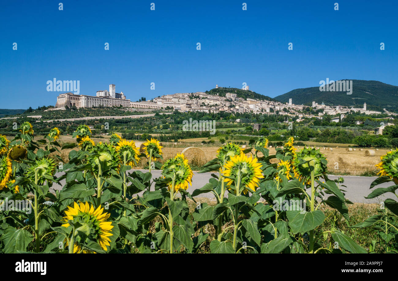 Vue panoramique vue sur la campagne d'assise, une colline dans le centre-ville de la région Ombrie en Italie, lieu de naissance de saint François Banque D'Images